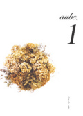 aube.1����ϴ����